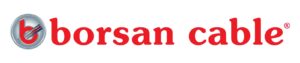 Borsan Kurumsal Logo